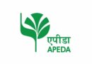 APEDA organizes orientation programme for start-ups for boosting agricultural products exports from Rajasthan