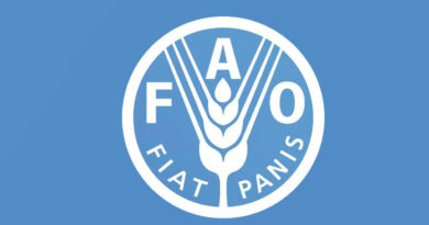 FAO and the private sector hand in hand to transform agri-food systems in the Near East and North Africa