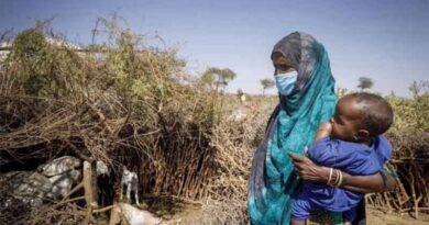 Famine relief blocked by bullets, red tape and lack of funding: FAO