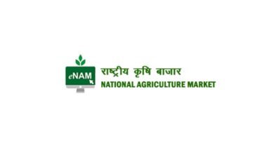 More than 37 lakh farmers used e-NAM Platform last year
