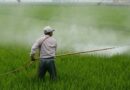 Consumption of Agrochemicals in India in 2020-21, Maharashtra leads