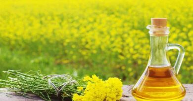 India working on self sufficiency in production of Oilseeds