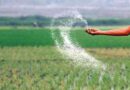 Government of India has decided to revive Talcher unit of Fertilizer Corporation of India Ltd