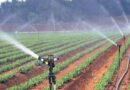 Drip and sprinkler targets released, MP farmers can apply from 7 to 18 July