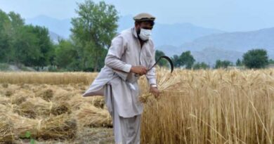 Drought threatens the livelihoods of 7 million farmers in Afghanistan