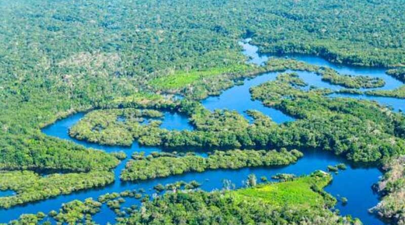 Management of world’s forests must be water-centred