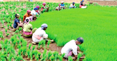 Agri Export Policy (AEP) focuses on Farmer Centric Approach