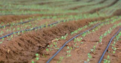 Strengthening APMCS through Agriculture Infrastructure Fund (AIF) Scheme