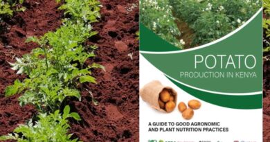 New Publication: Potato Production In Kenya