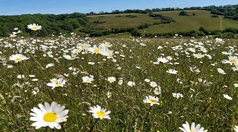 Local communities urged to help shape the natural world around them