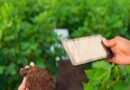 Smartphone cameras offer smallholder farmers promising new access to soil health knowledge