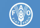 FAO launches Global Action on One Country One Priority Product