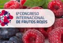 https://www.seipasa.com/en/news/seipasa-participates-in-the-berry-fruit-congress-in-huelva/