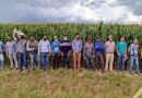 CIMMYT becomes partner of choice in PepsiCo’s sustainability strategy