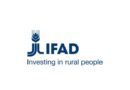 Small-scale farmers need decent wages - IFAD calls on world leaders to commit to action at Food Systems Summit