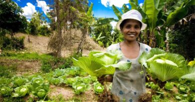 Agroecology can address food systems failures: IFAD report