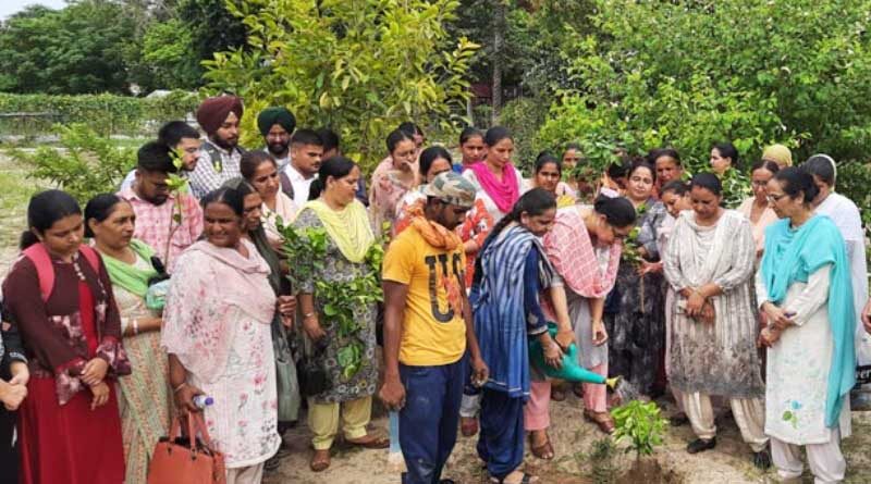 PAU Ludhiana organized one day national campaign on poshan abhiyan and tree plantation
