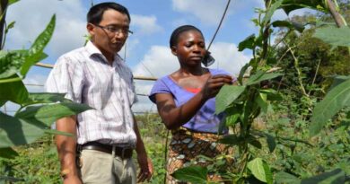 Voices of the Global South for cooperation towards agrifood systems transformation