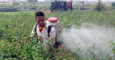 Fertilizers and Agro-chemicals use in Viet Nam
