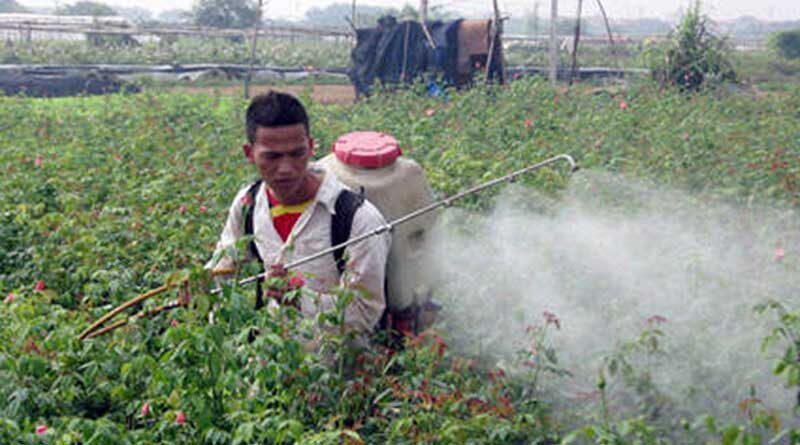 Fertilizers and Agro-chemicals use in Viet Nam