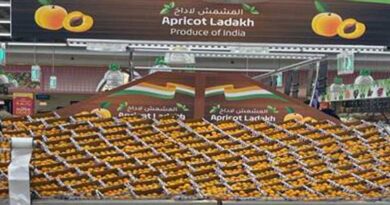 First consignment of Ladakh Apricot exported to Dubai