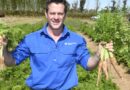 Significant advantages for Australian growers from new nematicide
