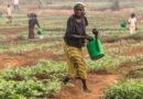 Food security crisis in the Democratic Republic of the Congo could worsen in the coming months