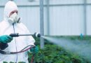 The environmental challenges arising from chemical pesticide over-use