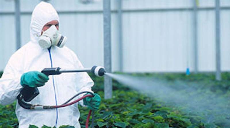 The environmental challenges arising from chemical pesticide over-use