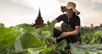 CABI and the Rainforest Alliance pledge working towards more sustainable agriculture