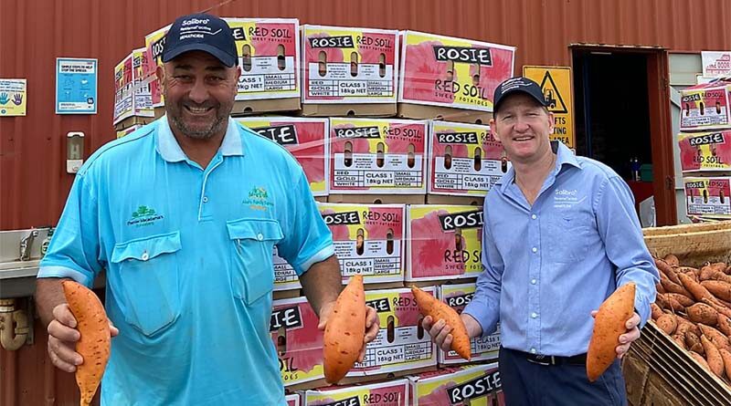 Bundaberg grower first in world to use new nematicide