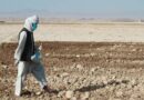 Afghanistan - to avert a catastrophe, agricultural assistance is urgently needed
