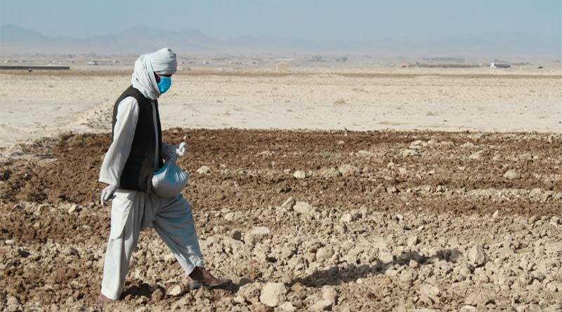 Afghanistan - to avert a catastrophe, agricultural assistance is urgently needed