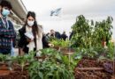 New “rooftop farm” at FAO highlights how innovative technology can help safeguard agro-biodiversity