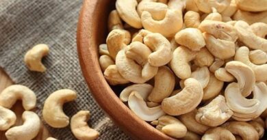 Cashew nut exports to the German market will be positive in 2022