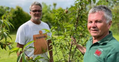Family traditions continue at historic Gisborne orchard
