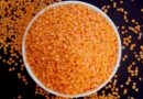 Indian Govt extends free import policy for pulses Toor and Urad