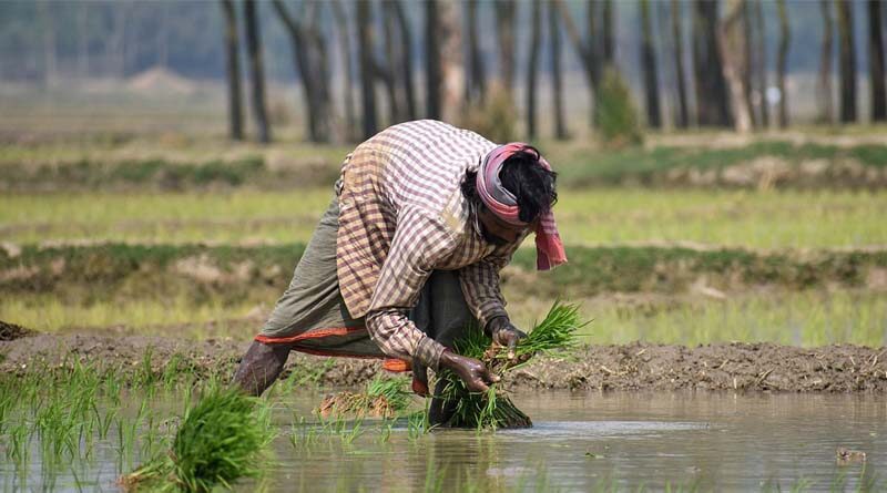 With an Outlay of Rs. 93,068 crore, PM Krishi Sinchayee Yojana approved; benefit to 22 lakh farmers