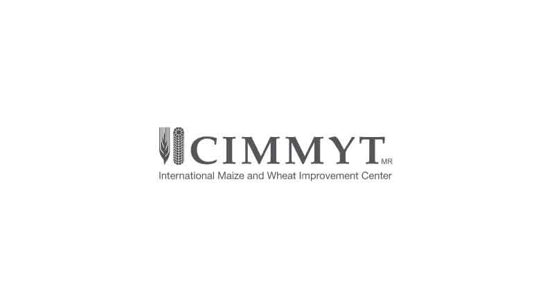 Science, technology and farmers, the three pillars of CIMMYT at COP26