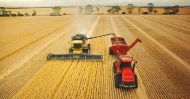 Australia: Grain grower bids remain well below global values
