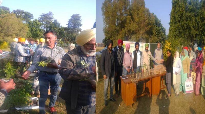 Training programme on cultivation and processing of aromatic & spice crops held at KVK, langroya, SBS nagar' on 30.11.2021