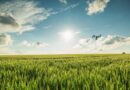 Nutrien plans 4 new fertilizer factories in Brazil