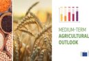 EU agricultural outlook 2021-31: lower demand for feed to impact arable crops