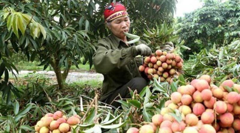 Agro - forestry and fishery exports increased