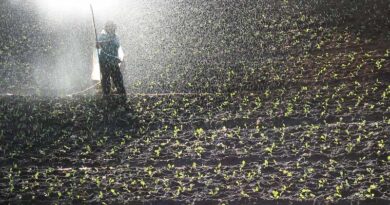 Major reforms in Indian fertilizer sector in last 5 years