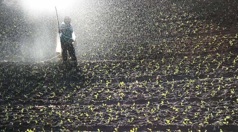 Major reforms in Indian fertilizer sector in last 5 years