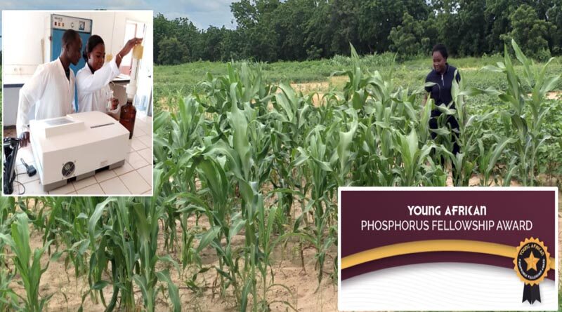Burkina Faso Research Examines The Role Of Crop Management On Soil P Dynamics