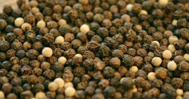 Pepper exports recover but price unstable