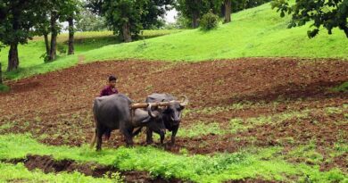 More than 5 Crore Soil Health cards issued in from 2018 to 2021