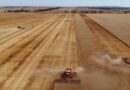 Australia: New research to reveal true cost of harvest losses to growers